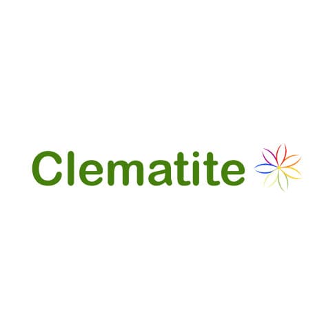 Clematite